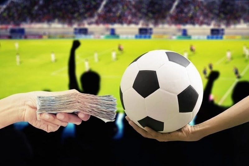 c&aacute;c kiểu c&aacute; độ b&oacute;ng đ&aacute;